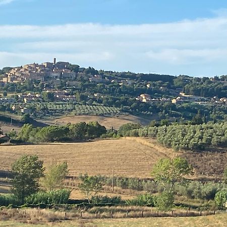 Podere Campo Alle Serpi Bibbona Extérieur photo