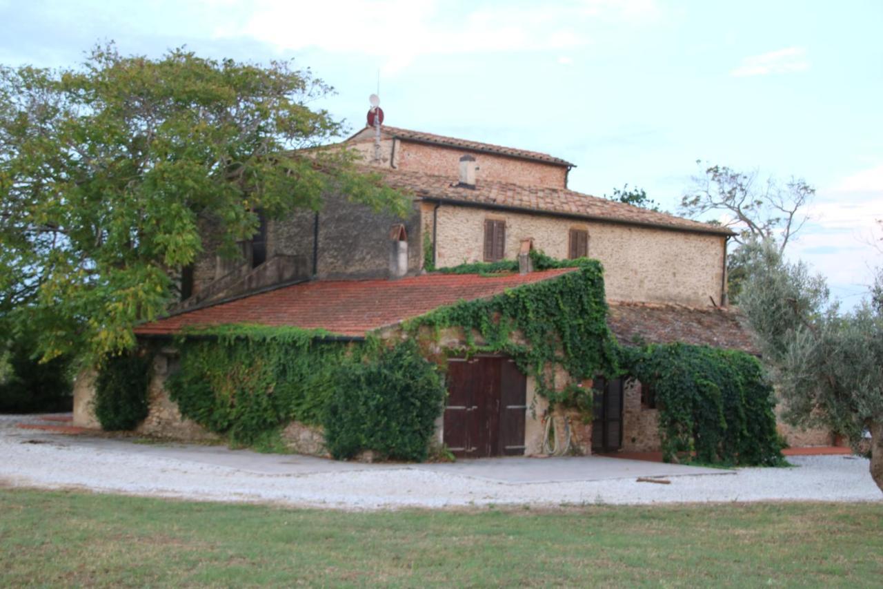 Podere Campo Alle Serpi Bibbona Extérieur photo