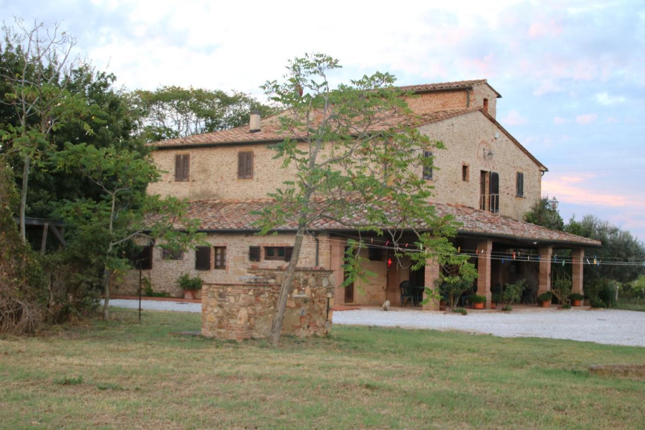 Podere Campo Alle Serpi Bibbona Extérieur photo