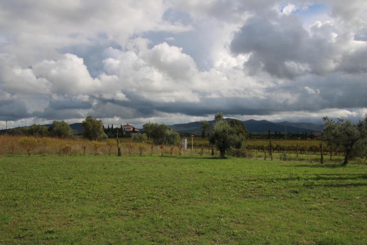 Podere Campo Alle Serpi Bibbona Extérieur photo