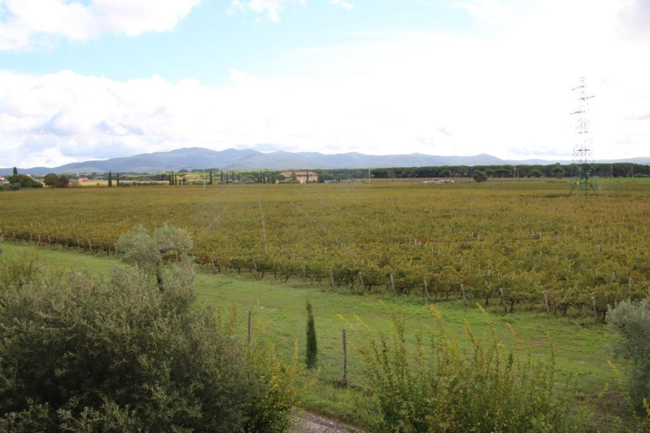 Podere Campo Alle Serpi Bibbona Extérieur photo