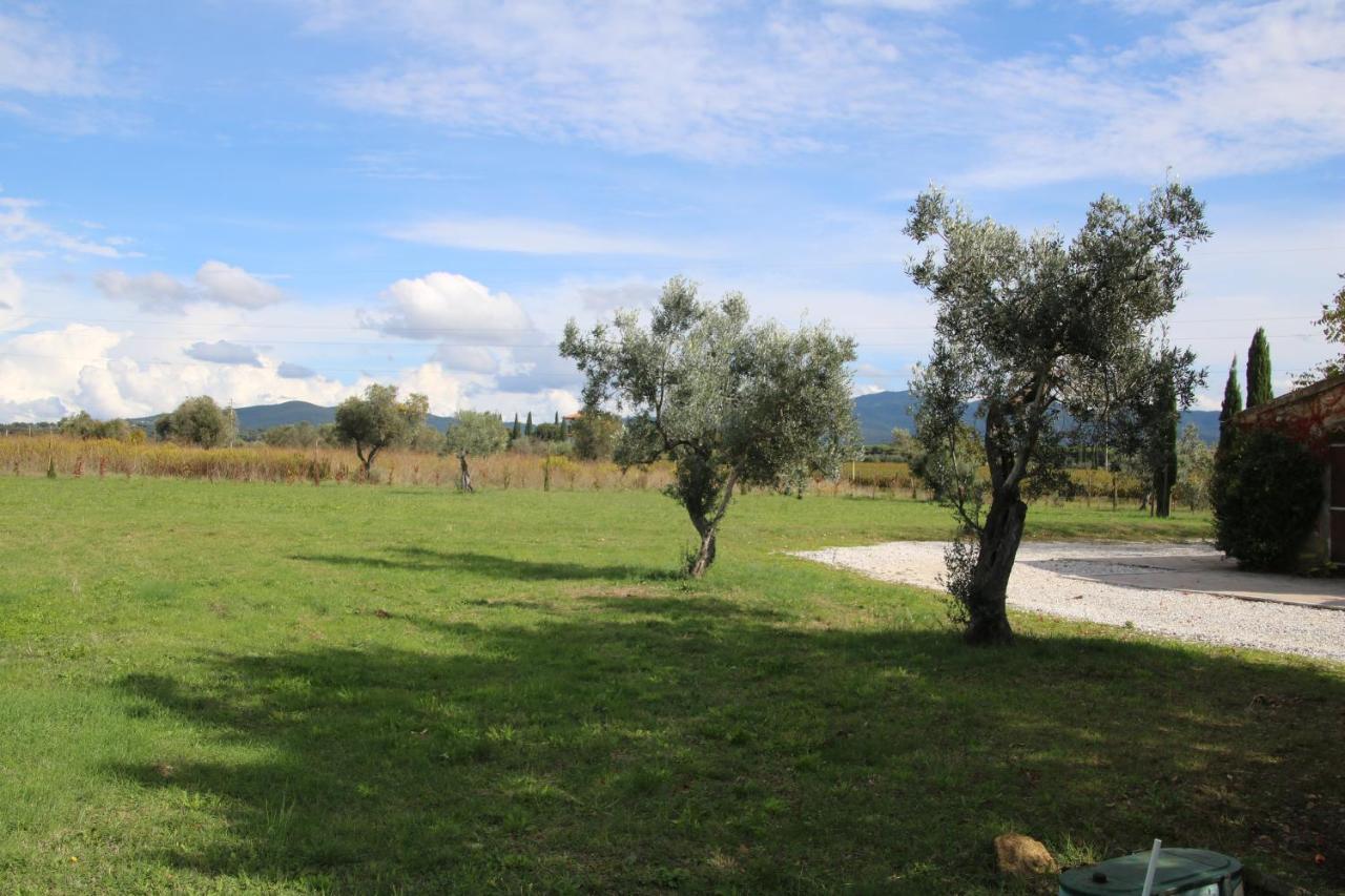 Podere Campo Alle Serpi Bibbona Extérieur photo