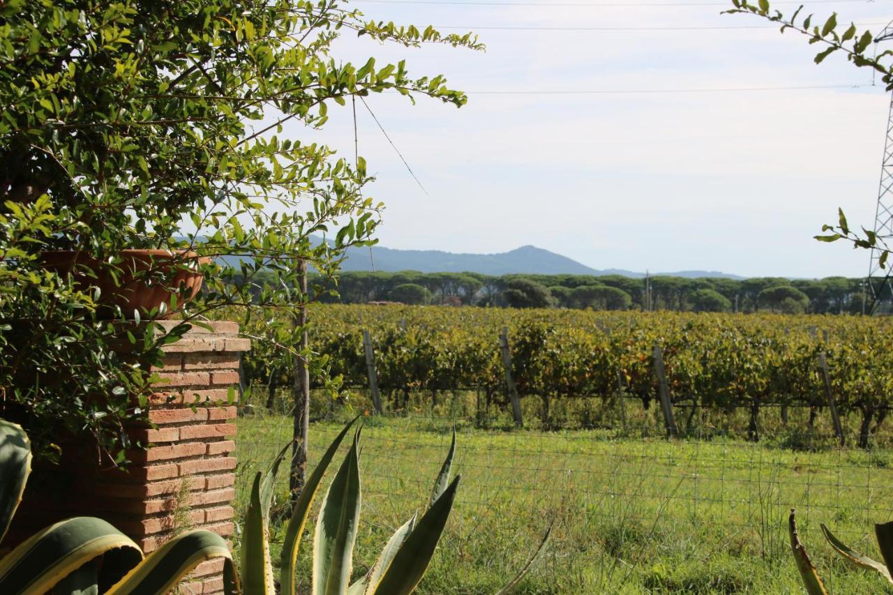 Podere Campo Alle Serpi Bibbona Extérieur photo