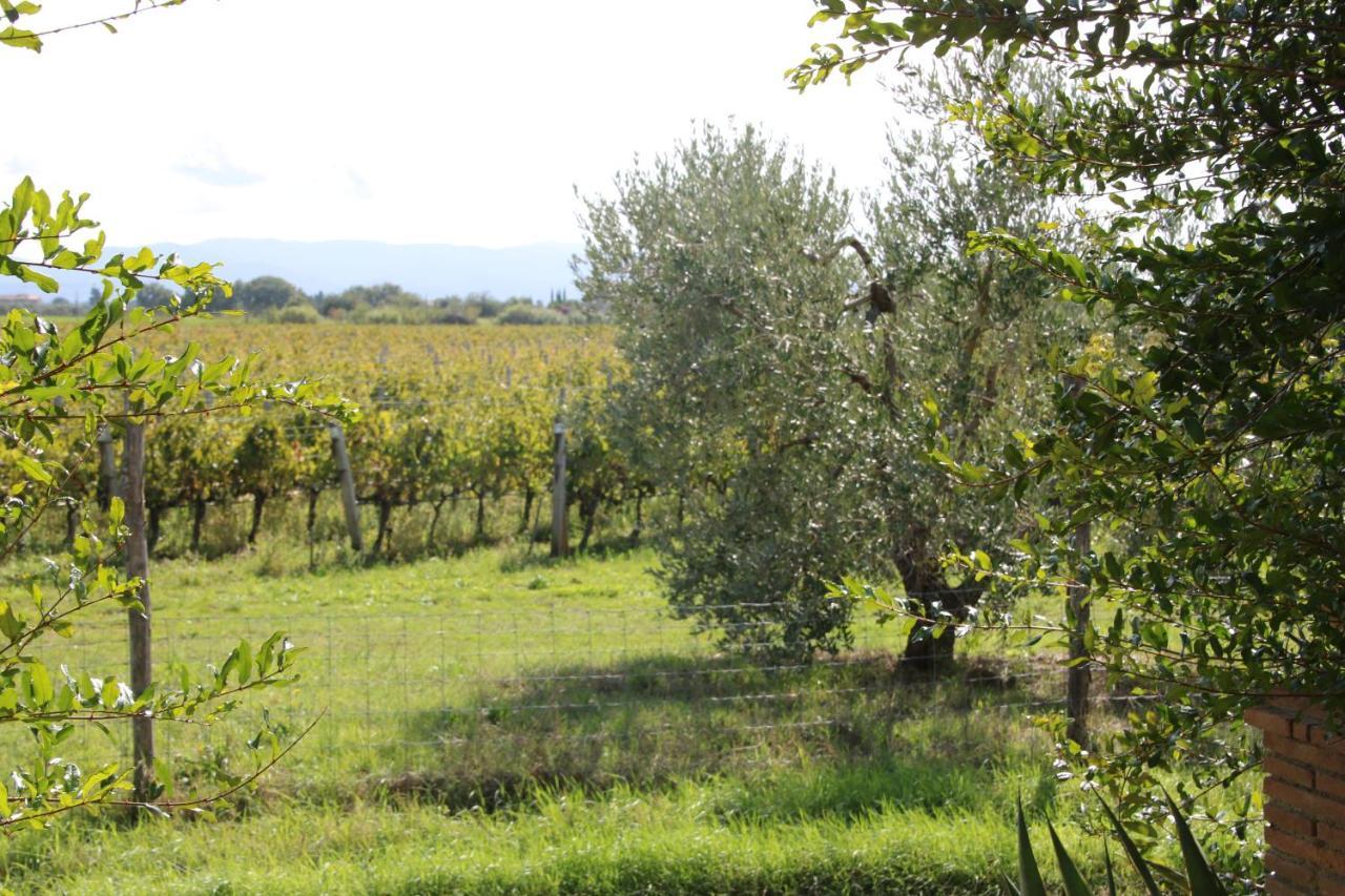 Podere Campo Alle Serpi Bibbona Extérieur photo