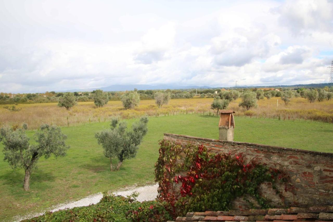 Podere Campo Alle Serpi Bibbona Extérieur photo