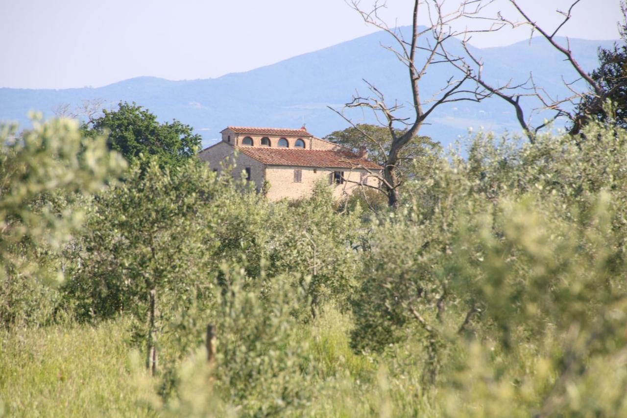 Podere Campo Alle Serpi Bibbona Extérieur photo