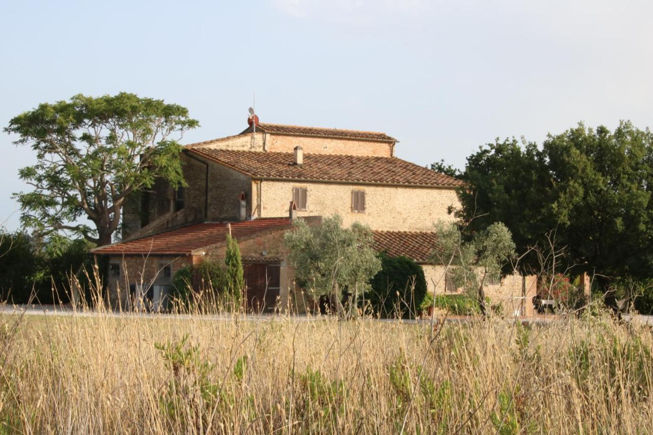 Podere Campo Alle Serpi Bibbona Extérieur photo