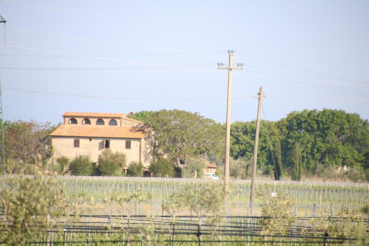 Podere Campo Alle Serpi Bibbona Extérieur photo