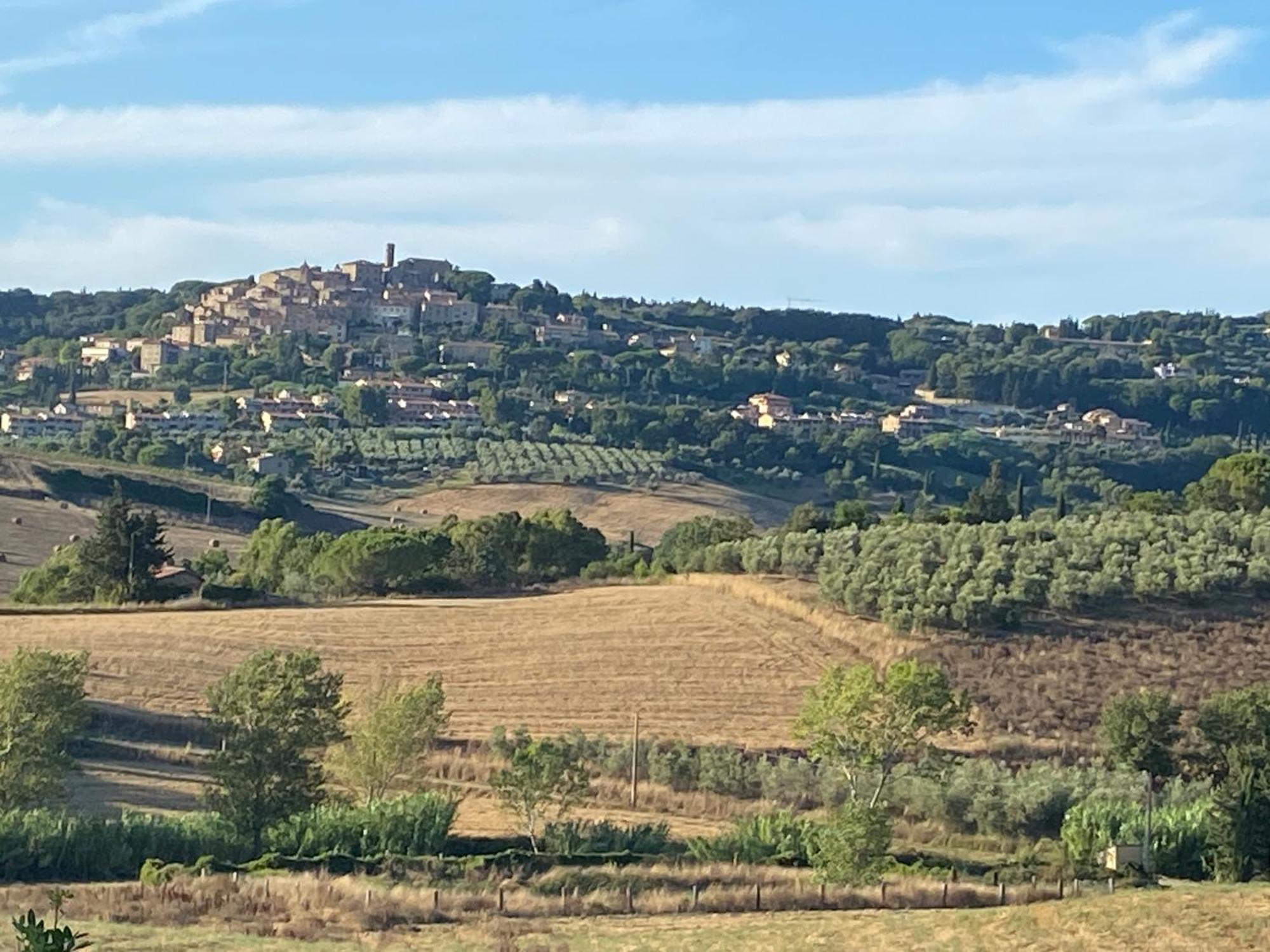 Podere Campo Alle Serpi Bibbona Extérieur photo