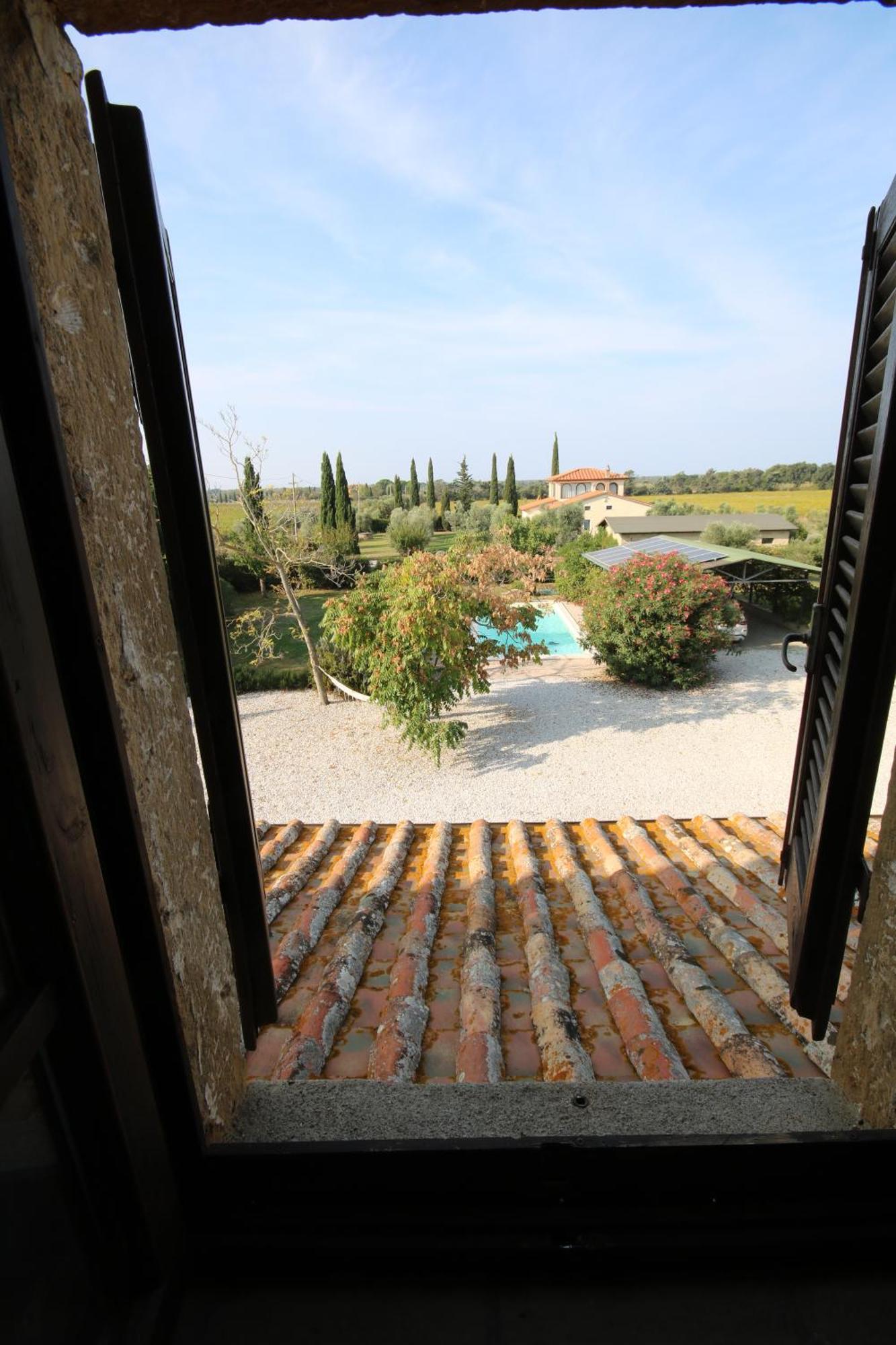 Podere Campo Alle Serpi Bibbona Extérieur photo