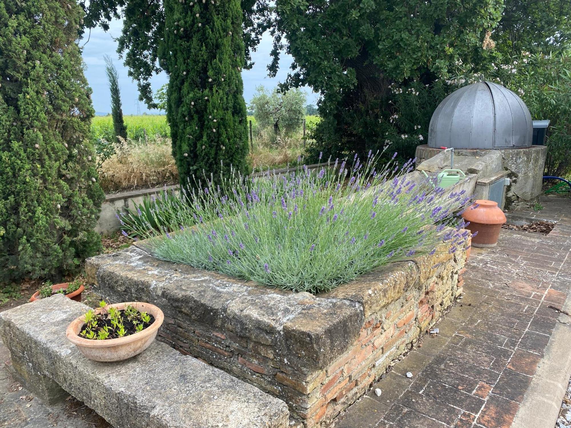 Podere Campo Alle Serpi Bibbona Extérieur photo