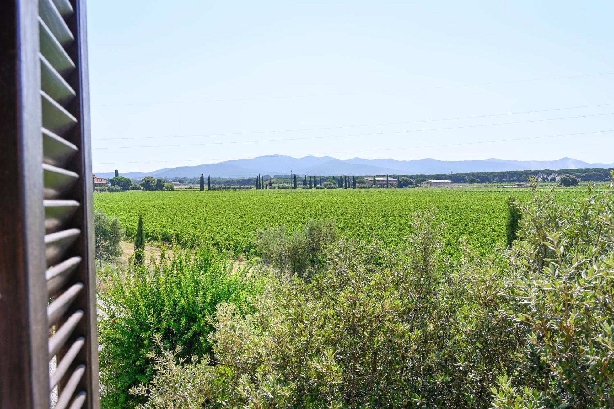Podere Campo Alle Serpi Bibbona Chambre photo
