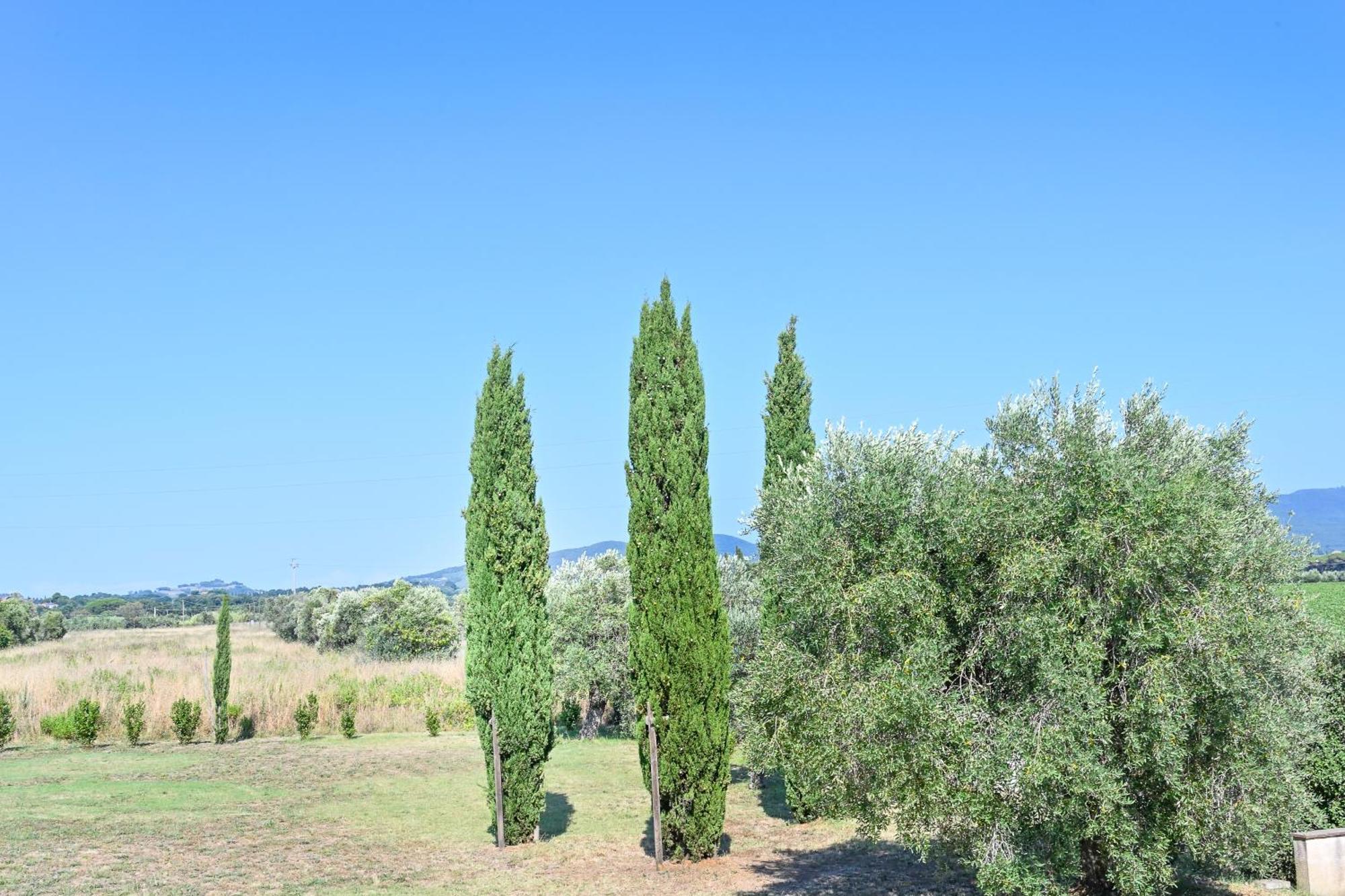 Podere Campo Alle Serpi Bibbona Chambre photo