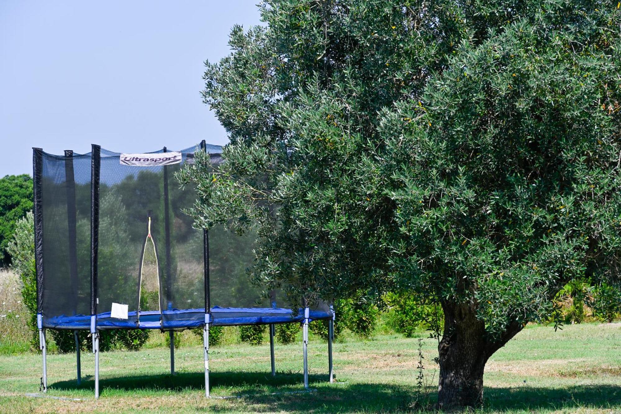 Podere Campo Alle Serpi Bibbona Extérieur photo
