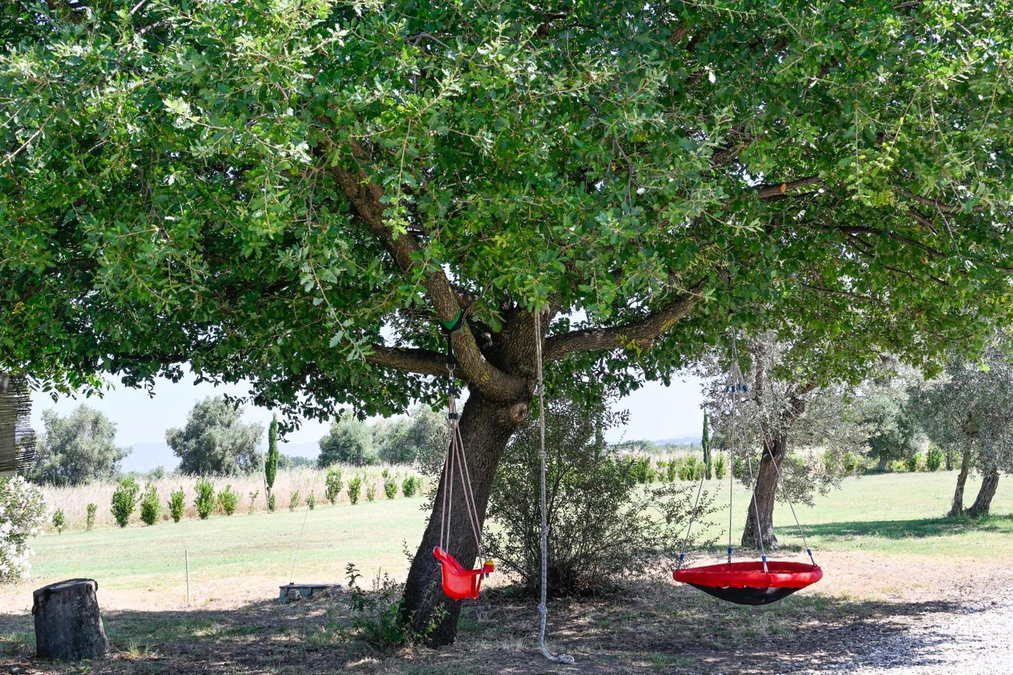 Podere Campo Alle Serpi Bibbona Extérieur photo